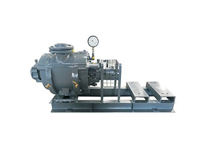 Single Stage Water-Ring Vacuum Pump