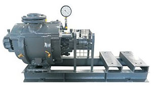 Single Stage Water Ring Vacuum Pump