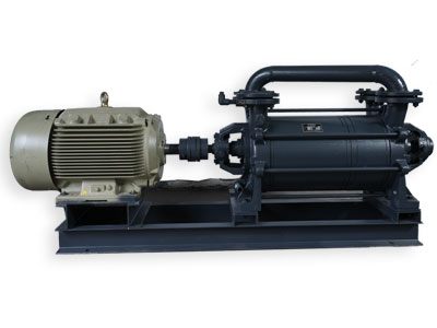 Two Stage Water Ring Vacuum Pump