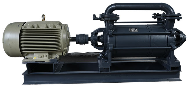 Two Stage Water Ring Vacuum Pump